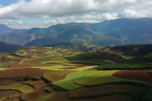 Colorful Land