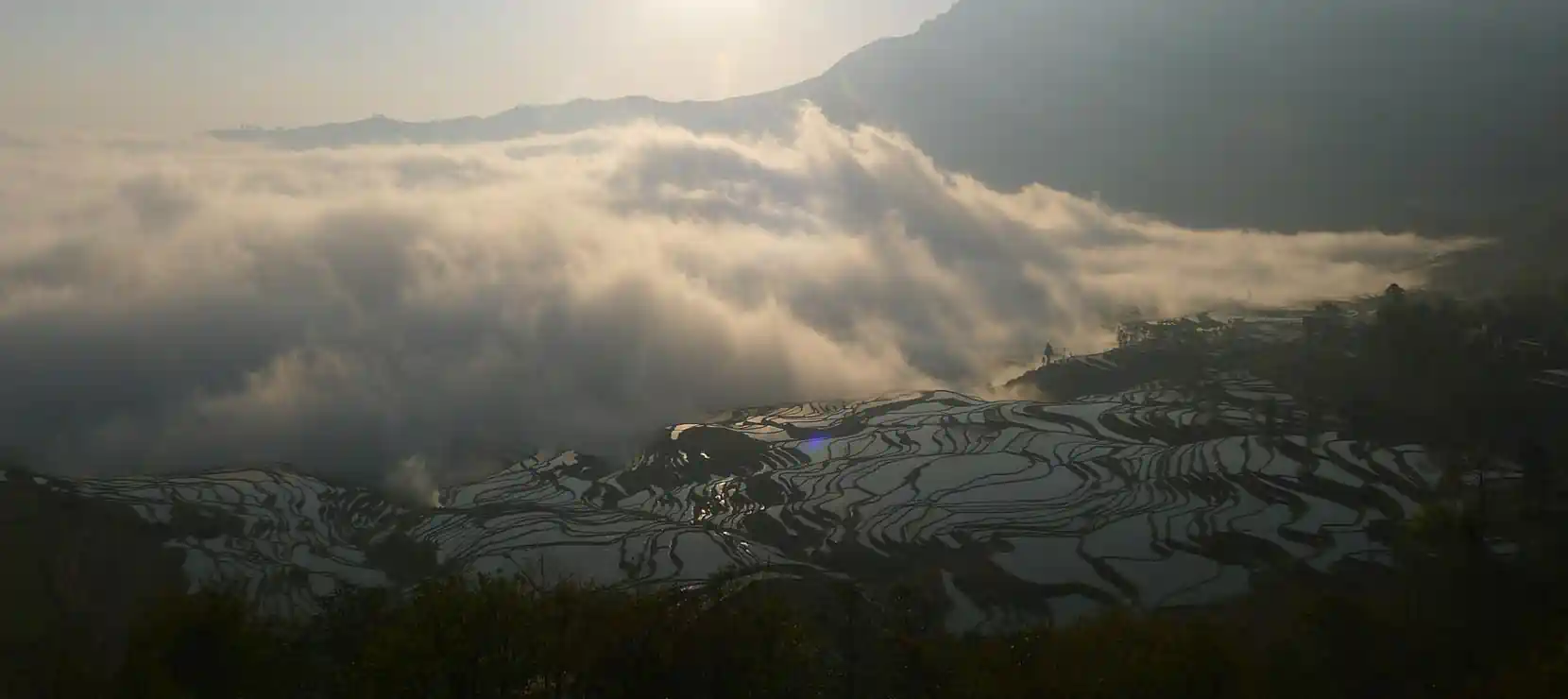 Great Project of Hani