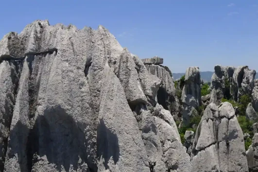 Natural Sculpture