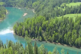 Road Trip of Altai